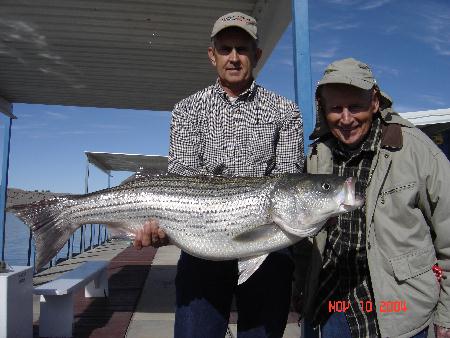 Thirty Pound Striped Bass caught by 90 Year Old - Duke Klingeman