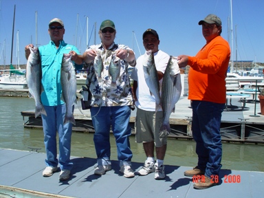 Striper Fishing in Elephant Butte New Mexico