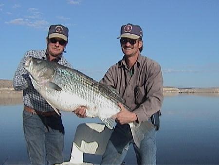 Brothers, Steve and Lew Manguso and their 43.4# Striper