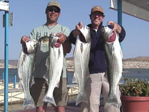 Guides from SFGC with their Stripers!