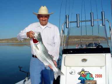 Striped Bass Fishing, Elephant Butte New Mexico