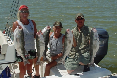 Striped Bass Fishing with Guide, Billy Jack Miller
